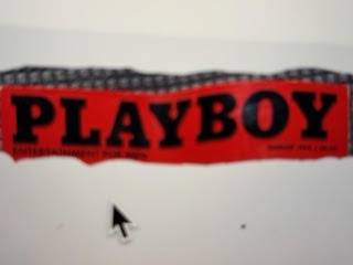 Playboy Magazines - Image 11